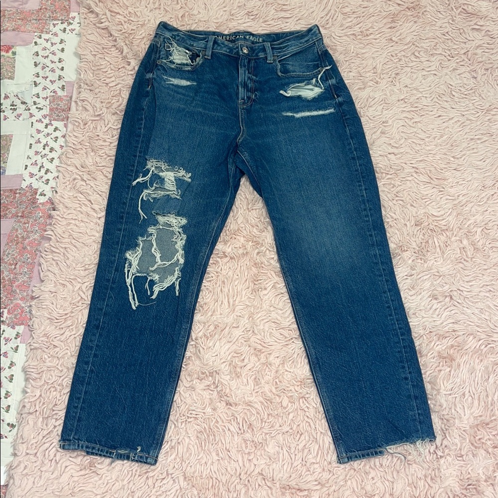 American Eagle Distressed Mom Jeans